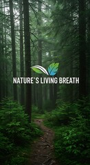 Dense forest trail view with tall trees and green foliage background