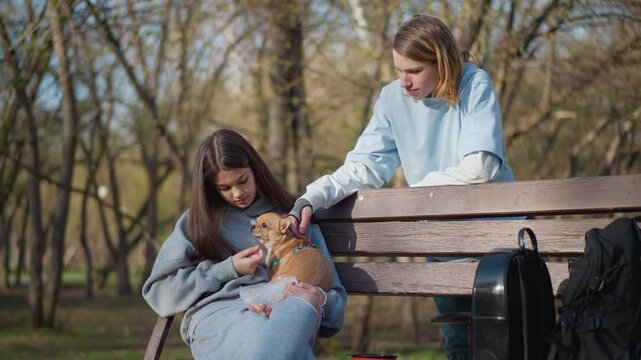 bench perspective friend reaches over backrest to stroke dog, supportive gesture from companion, gentle petting and curious puppy response, park trees and distant walkers set calm scene