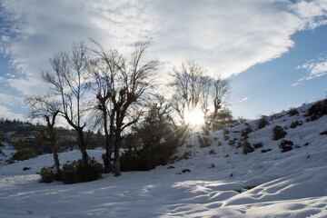 Snow and winter for the Arabs, snowfall in Jijel state, Algeria, the Maghreb, snow in the Arab countries of North Africa, snow in the mountains, trees, forest, sky and clouds, Winter and snow Africa.