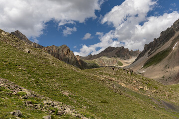 Fototapeta premium Mountain view in the Massif des Cerces, Hautes Alpes, France