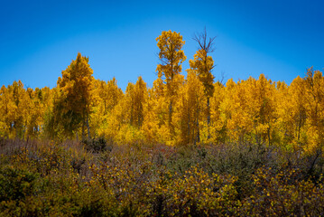 Autumn in the Eastern Sierra