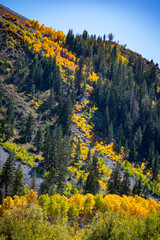 Autumn in the Eastern Sierra