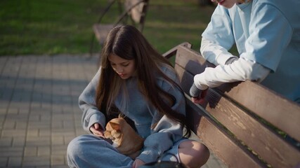 teen girl with puppy on park bench, casual afternoon scene of girl and puppy engaging with technology, an adolescent asian girl looks at her phone while holding chihuahua on park bench - Powered by Adobe