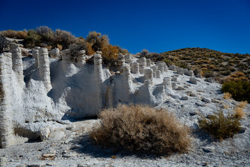 Crowley Lake Columns
