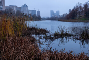 Urban river creating cinematic moody atmosphere with reeds