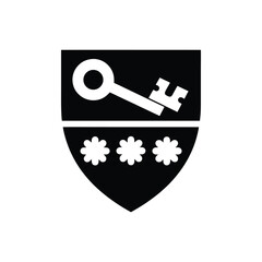 Password Shield Minimal Vector Icon Security Key Protect