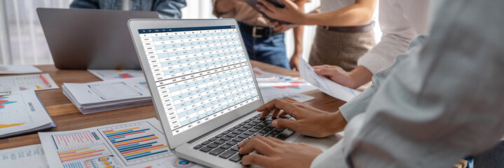 Accounting software on computer screen showing financial statement spreadsheets and account balance...