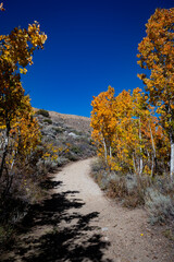 Autumn in the Eastern Sierra