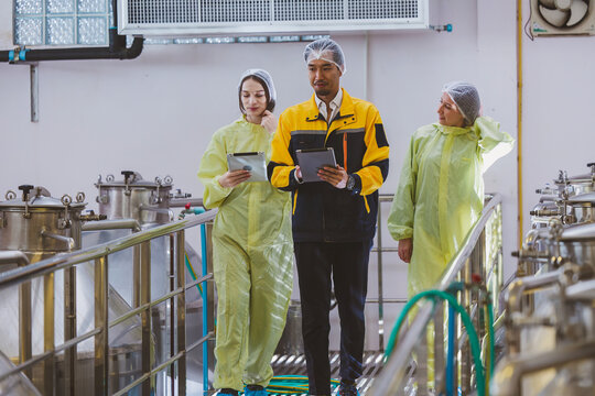 Winemaker working in modern large winery factory liquor drink industry quality. Staff inspecting wine in modern wine factory. Winery manufacturing quality control. Alcohol and wine winemaking process - Powered by Adobe