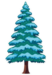 Snow Covered Pine Tree