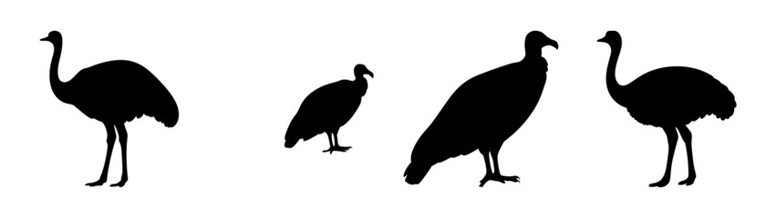 Silhouette of ostrich and bird group vector art illustration graphic design element for print and web