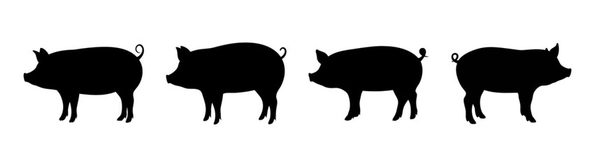 Pig silhouette vector illustration farm animals swine livestock pork mammal domestic pigs group art