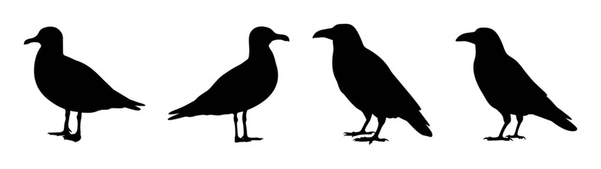 Silhouette of four birds standing together vector illustration bird watching wildlife art design