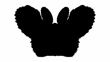 Silhouette of a fluffy animal with large ears and fur in a dark contrast against white background view