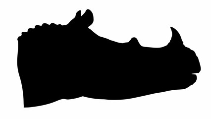 Silhouette of a rhinoceros head showing its horn and ear in a side profile against white backdrop © Muhammad Kashif