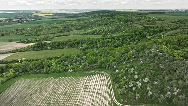 Side aerial approach to the Querfurt Plateau in Saxony-Anhalt, showing fertile loess&ndash;chernozem soils, agricultural fields, and vineyards on shell limestone landscapes.