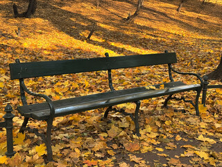 Autumn Park Bench Surrounded by Golden Leaves in a Quiet, Serene Fall Scene