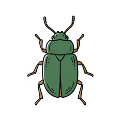 Green insect illustration with detailed features on a white background  