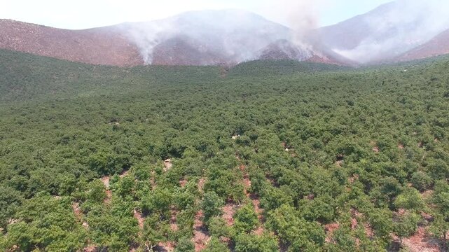 helicoptero apaga incendio  en la monta&ntilde;a 4A