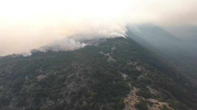 incendio en la monta&ntilde;a 2b