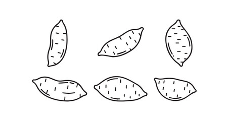 Whisk vector illustration for cooking and baking culinary tools and kitchen utensils