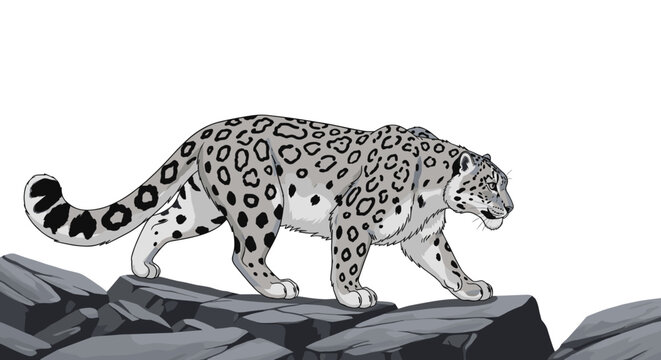 Stealthy snow leopard cartoon-style illustration walking on rugged mountain rocks isolated on white background showcasing wildlife survival