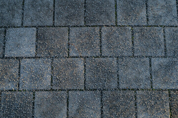 Stone Pavement Texture - Gray Paving Blocks