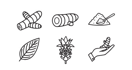 Stainless steel kitchen whisk vector for cooking baking and culinary preparation