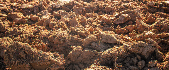 freshly turned soil with rough, textured clumps under warm sunlight