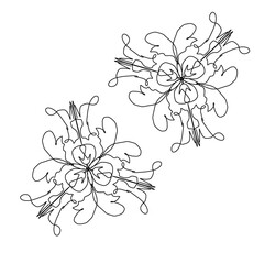  Geometric seamless pattern background mandala motif 