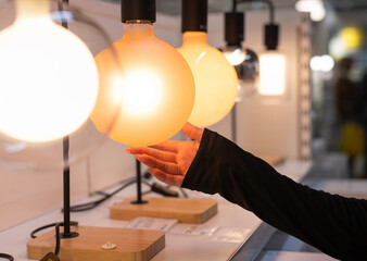 Woman Choosing Lamp In Store