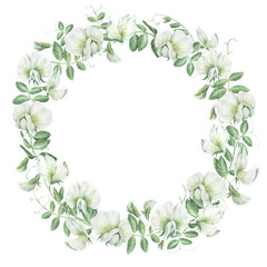 Round, lush wreath frame made of flowers, leaves, and shoots of garden peas. Hand-drawn watercolor illustration isolated on white background. Perfect for postcards, invitations, polygraph, tableware