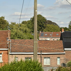 Toits des maisons traditionnelles devant un bois à Écaussinnes-Lalaing (Soignies)
