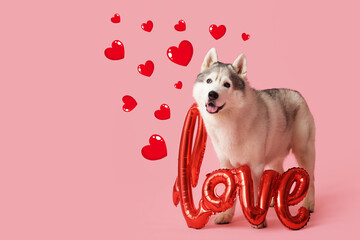 Adorable husky dog with balloon in shape of word LOVE on pink background. Valentine's Day celebration © Pixel-Shot