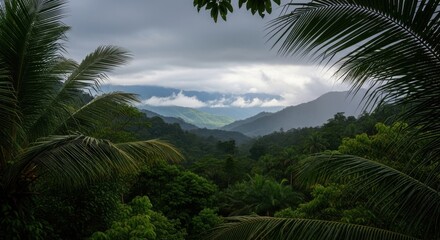 Obraz premium Rainforest valley landscape with cloud formations