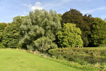 Végétation luxuriante au jardin du château de la Follie à Écaussinnes-Lalaing (Soignies)
