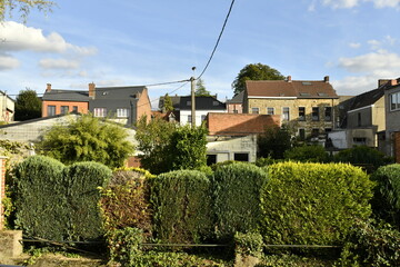 Haies le long d'un bras de la Sennette séparant les jardins privés à Écaussinnes-Lalaing (Soignies)