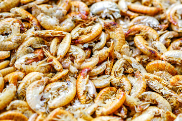 Aquarium fish fodder closeup.Dry food gammarus for aquarium fish feed.Top view