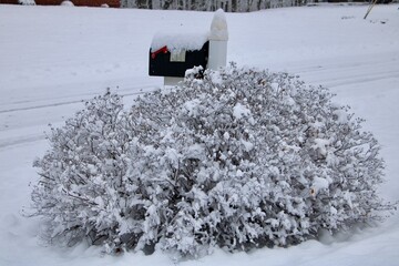 Mailbox in snow 