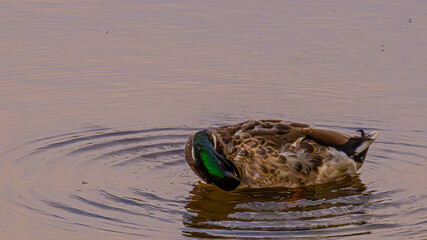 Ecopark Kołobrzeg © lech