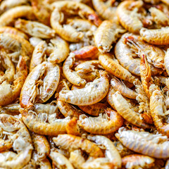Aquarium fish fodder closeup.Dry food gammarus for aquarium fish feed.Top view