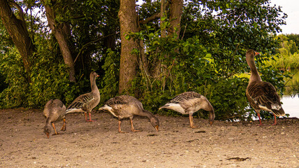 Ecopark Kołobrzeg © lech