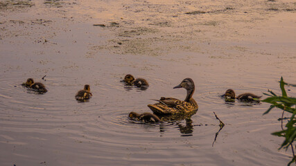 Ecopark Kołobrzeg © lech