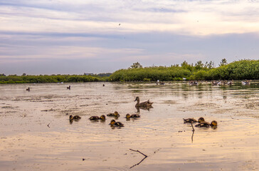Ecopark Kołobrzeg © lech