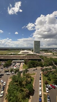&aacute;rvore, arborizar, natureza, verde, madeira, deixar, galho, parque, porta-malas, ver&atilde;o, velho, planta, folha, carvalho, primavera, natural, paisagem, folhagem, cercar, outonal, grande
