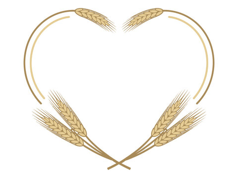 Heart shape frame made of wheat ears and curved lines on a white background.