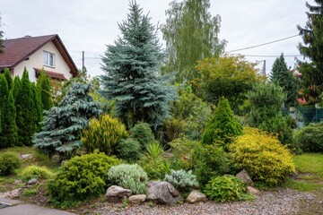 Obraz premium Lush garden featuring diverse shrubs and trees with a cozy home in the background during a cloudy day in a suburban neighborhood