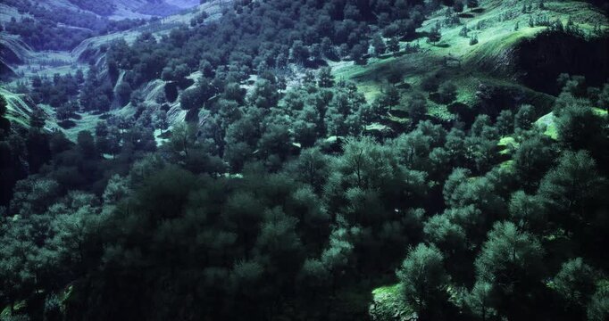 As dusk descends on the tranquil valleys, rich green foliage blankets the hills. Gentle streams meander through the enchanting landscape, inviting exploration and reflection.