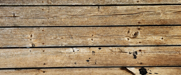 
Wood plank texture.
Close-up and top view
Wood grain