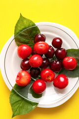 Plate with sweet cherries and leaves on yellow background